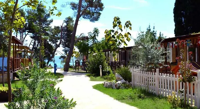 Dream Apartamento